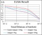 CD36 Antibody
